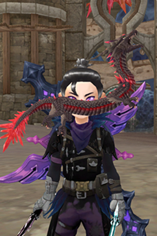 Dragon Companions